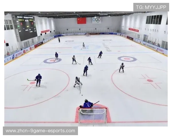 冰球练习场地升级，山东新兴聚乙烯板材助力冬季训练，冰球比赛用球材料